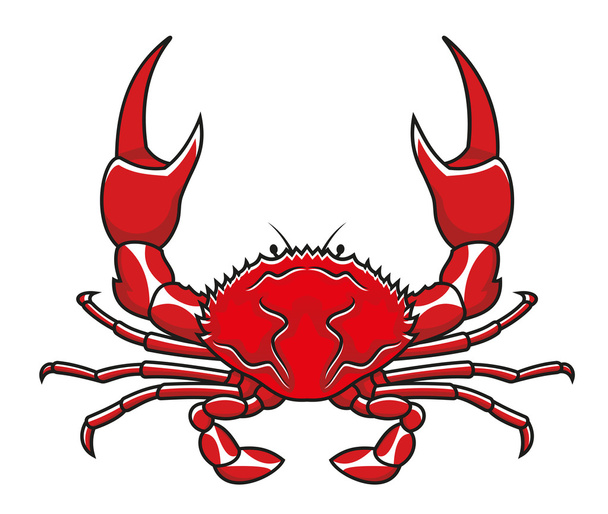 Red crab - Vector, Image