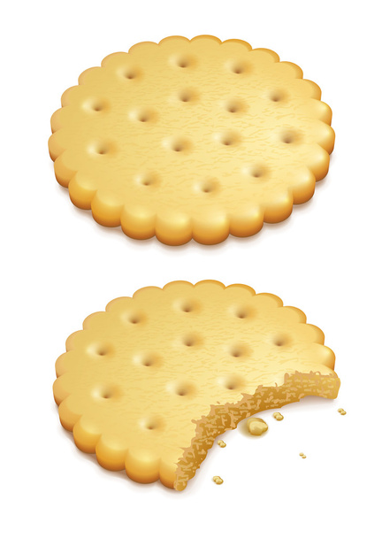 croccanti biscotti isolati su bianco - Vettoriali, immagini
