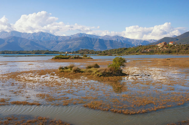 Wetland landscape. Montenegro. View of Tivat Salina  ( Tivatska Solila ) - special botanical and animal reserve  - Photo, Image