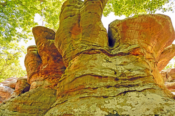 Colorate formazioni di arenaria nelle ombre della foresta
 - Foto, immagini