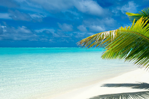  Мальдіви острів з білим піщаним пляжем і морем - Фото, зображення