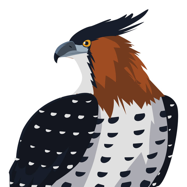 beautiful hawk majestic bird - Vector, Image