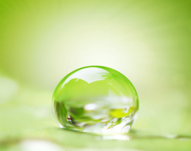 feuille verte et goutte d'eau - Photo, image