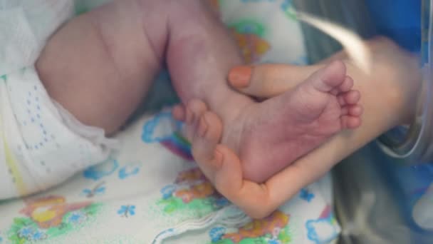 Female hand is touching a leg of a new-born child - Imágenes, Vídeo