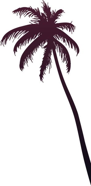 Vektorový vektor silueta palmových stromů - Vektor, obrázek