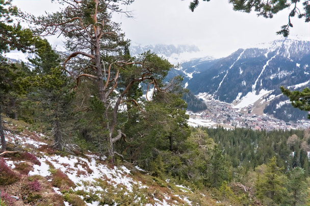 Vista de Wolkenstein desde una perspectiva en el bosque cercano
 - Foto, imagen