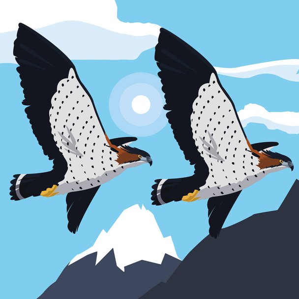 hermosos halcones volando aves majestuosas
 - Vector, Imagen