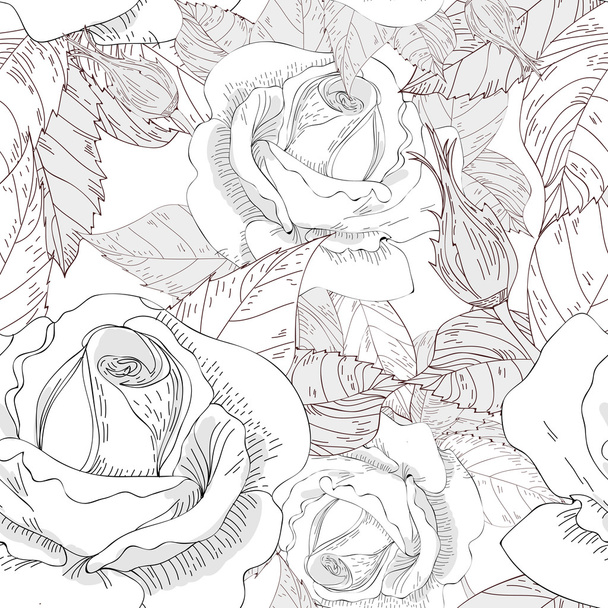 Roses - Vetor, Imagem