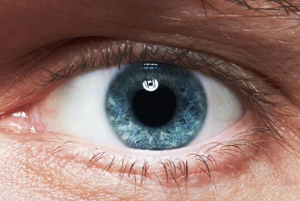 Blauwe ogen - Foto, afbeelding
