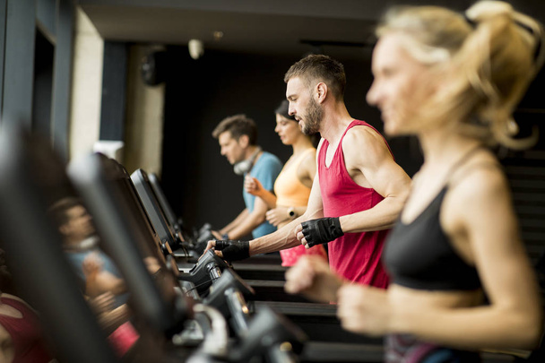 Group of young people running on treadmills in modern gym - 写真・画像