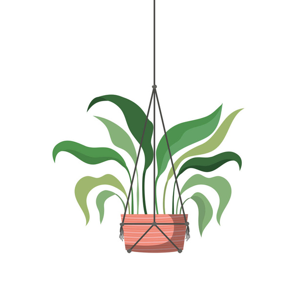 Zimmerpflanze auf Makramidenbügel-Symbol - Vektor, Bild