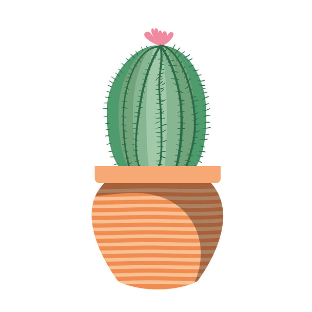 kaktus z doniczkowa ikona na białym tle - Wektor, obraz
