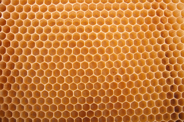 tekstura Honey - Zdjęcie, obraz