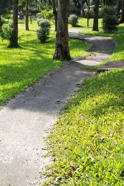 Stone Pathway in a Lush Green Park - Foto, Imagem