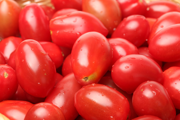 Small cherry tomato - Fotoğraf, Görsel