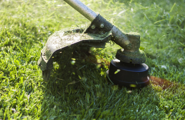 Çim biçme makinesi ile bir çim biçme - Fotoğraf, Görsel