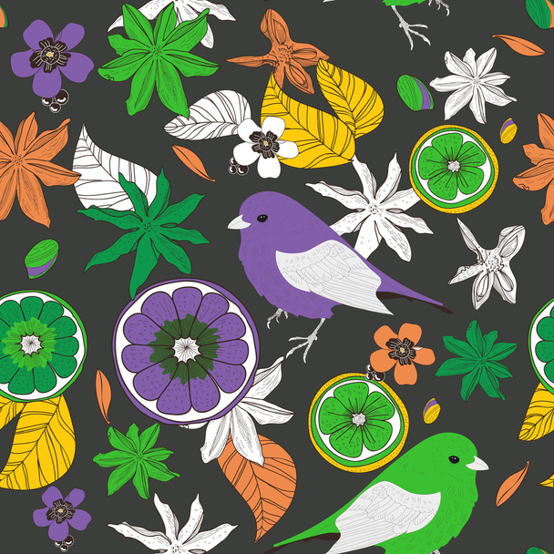 Fruits and birds - Vector, Imagen