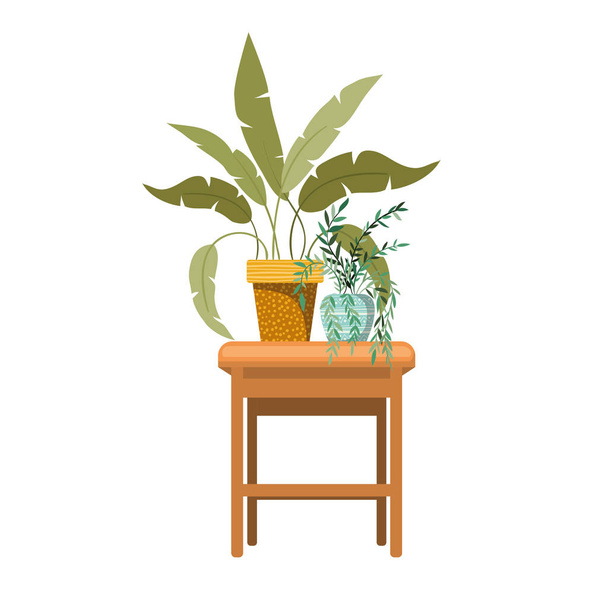 houseplants with potted on the table - Vector, Image