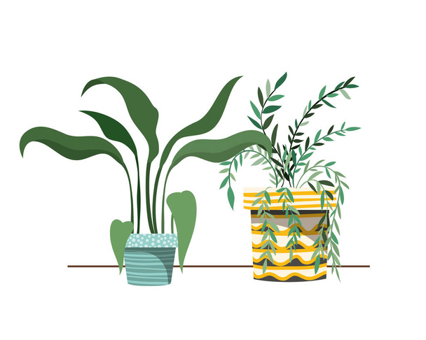 houseplants with potted isolated icon - Vector, Image