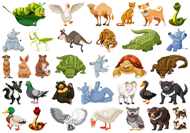 Conjunto de animais selvagens
 - Vetor, Imagem