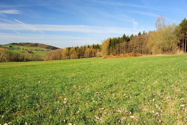 Beautiful spring landscape with forest, meadow and blue sky - Foto, afbeelding