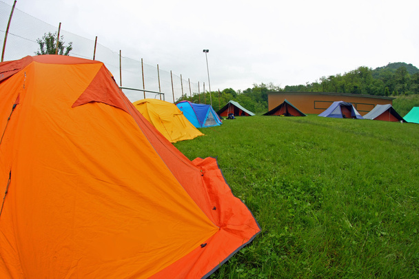 kamperen met iglo-tenten in een weide - Foto, afbeelding