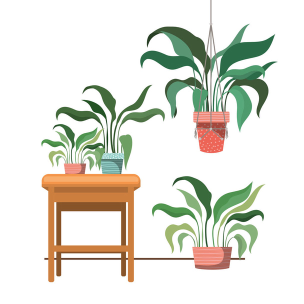 houseplants on macrame hangers and table - Vector, Image