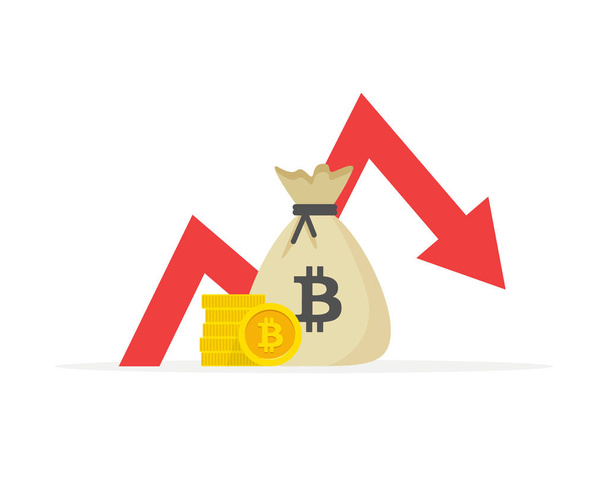 Financial indicators, business performance in the bitcoin, statistical report, mutual fund, return on investment, financial consolidation, planning and budget management, the concept falls growth. - Vector, Image
