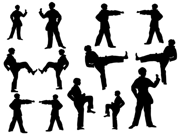 Taekwondo-fighter-silhouette - Vector, Image