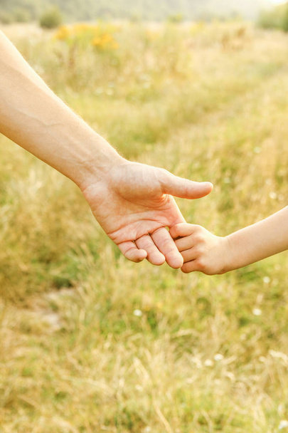 χέρια γονέα και παιδιού στη φύση - Φωτογραφία, εικόνα