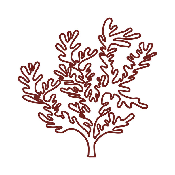 Изолированная иконка водорослей
 - Вектор,изображение