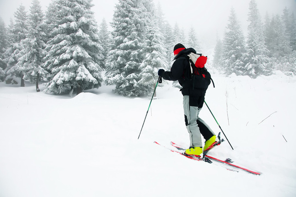 Esquí de travesía en duras condiciones de invierno
 - Foto, Imagen