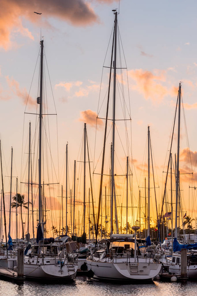 Яхти на заході сонця в затоці Ala Wai Small Boat Harbor в Гонолулу, Гаваї з невеликим літаком над головою. - Фото, зображення