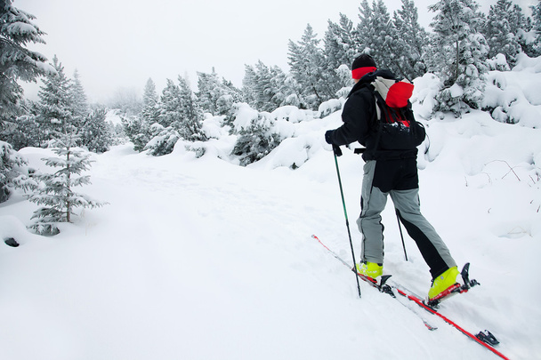 Ski de randonnée dans des conditions hivernales difficiles
 - Photo, image