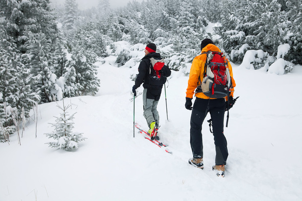 Ski touring in barre winterse omstandigheden - Foto, afbeelding