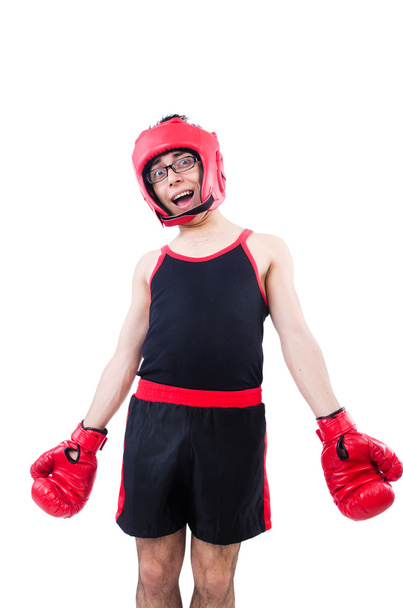 Boxer engraçado isolado no fundo branco - Foto, Imagem