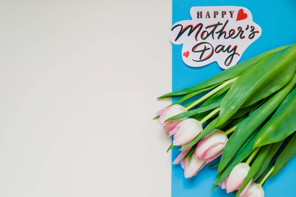 Szczęśliwego tekstu matki dzień znak na kolorowym tle. różowe tulipany isplated. koncepcja karty okolicznościowe. zmysłowy wizerunek przetargu. Wiosna Kwiaty płaskie lay. - Zdjęcie, obraz