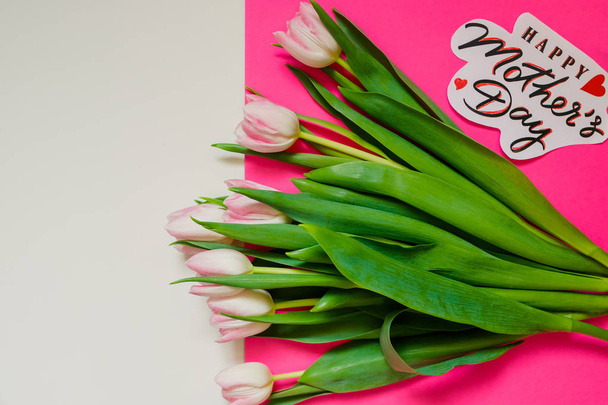 Szczęśliwego tekstu matki dzień znak na kolorowym tle. różowe tulipany isplated. koncepcja karty okolicznościowe. zmysłowy wizerunek przetargu. Wiosna Kwiaty płaskie lay. - Zdjęcie, obraz