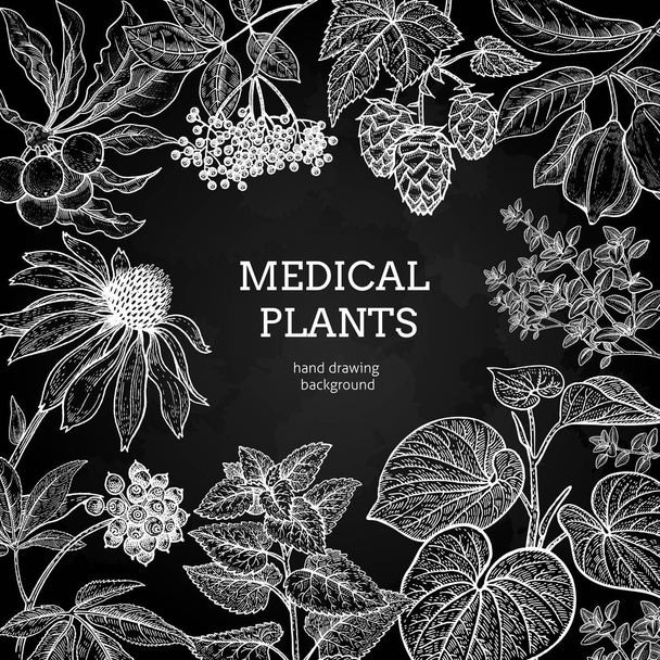 Ιατρικά βότανα και φυτά. Μαύρη και λευκή κάρτα. - Διάνυσμα, εικόνα