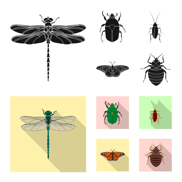 Isolated object of insect and fly sign. Collection of insect and element vector icon for stock. - Wektor, obraz