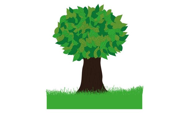 зелене дерево
 - Фото, зображення