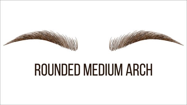 Arco medio arrotondato Forma sopracciglia disegnate a mano vettoriale
 - Vettoriali, immagini
