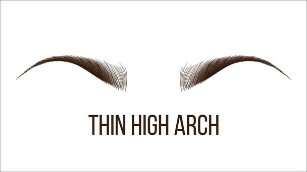 Vékony magas Arch Vector kézzel rajzolt Brows Shape - Vektor, kép