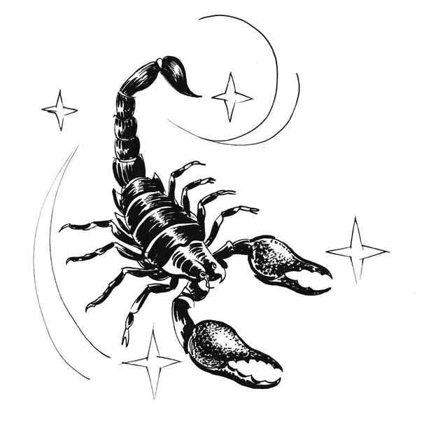 Scorpion star sign. Ink black and white illustration - Photo, Image