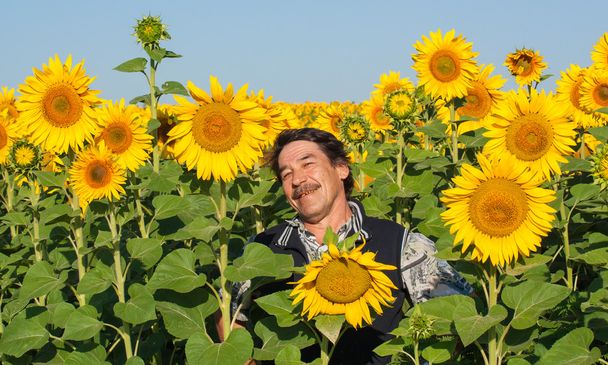 farmer standing in a sunflower field - Фото, изображение