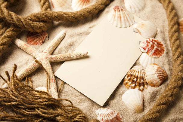 Seashells frame and space for text, holiday beach concept  - Foto, imagen