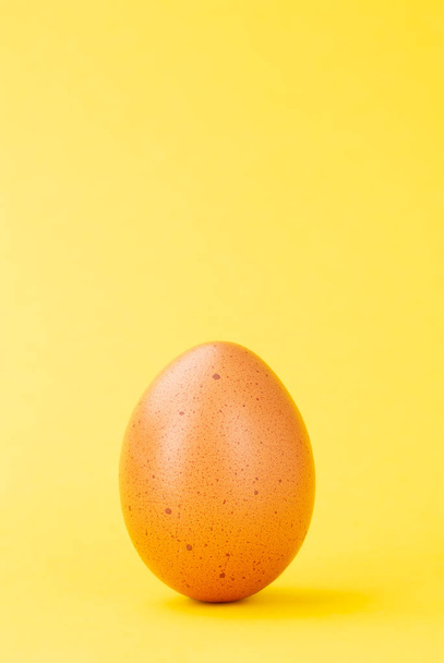 uovo marrone dritto su sfondo giallo
 - Foto, immagini