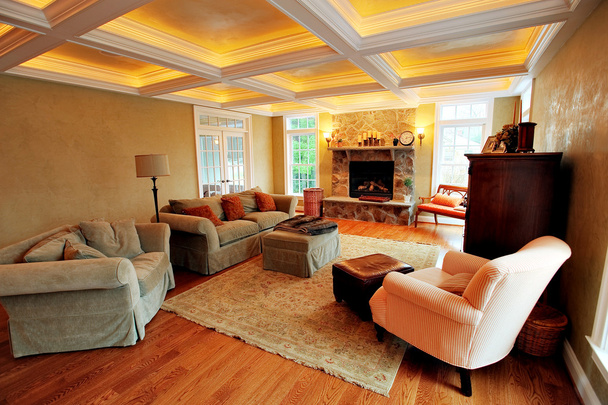 Upscale Living Room Interior - Foto, Imagem