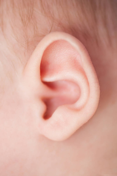 primo piano dell'orecchio del bambino
.  - Foto, immagini