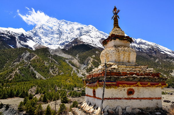 Вид на горы Гималаев с буддийской капеллой ступы
 - Фото, изображение